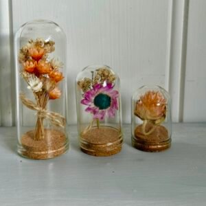 Home Set of three Dried Flower Mini Glass Domes